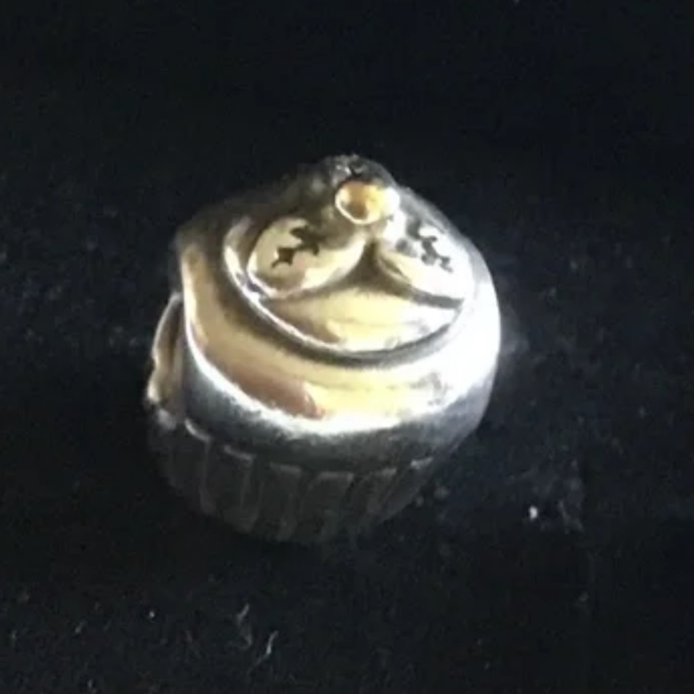 Pandora cupcake charm two tone